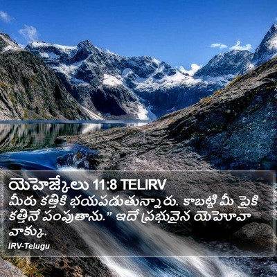 యెహెజ్కేలు 11:8 TELIRV Bible Verse Image