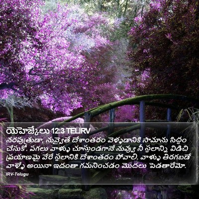 యెహెజ్కేలు 12:3 TELIRV Bible Verse Image