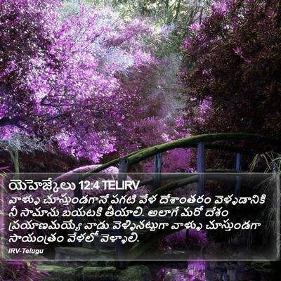 యెహెజ్కేలు 12:4 TELIRV Bible Verse Image