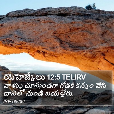 యెహెజ్కేలు 12:5 TELIRV Bible Verse Image