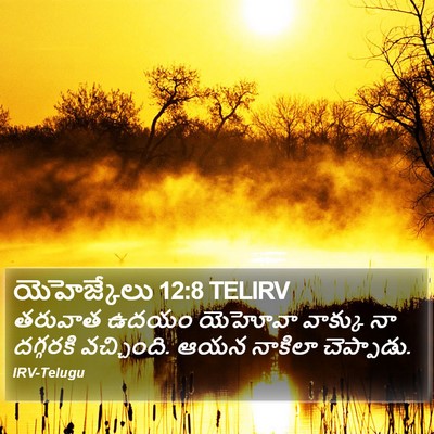 యెహెజ్కేలు 12:8 TELIRV Bible Verse Image