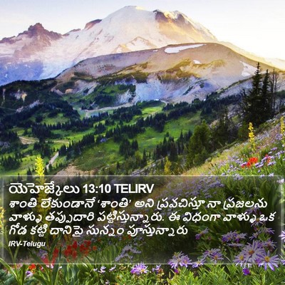 యెహెజ్కేలు 13:10 TELIRV Bible Verse Image