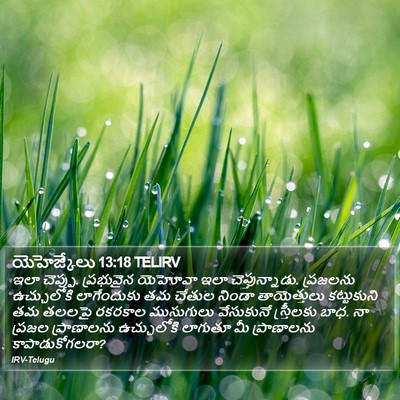 యెహెజ్కేలు 13:18 TELIRV Bible Verse Image