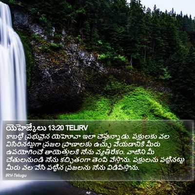 యెహెజ్కేలు 13:20 TELIRV Bible Verse Image