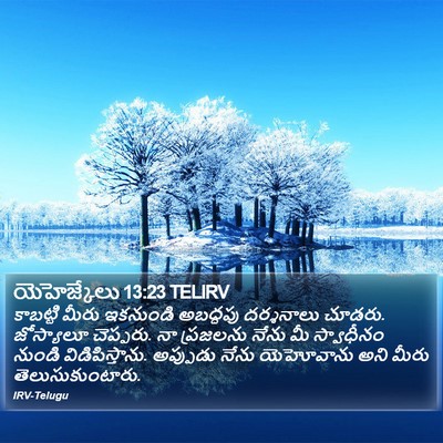 యెహెజ్కేలు 13:23 TELIRV Bible Verse Image