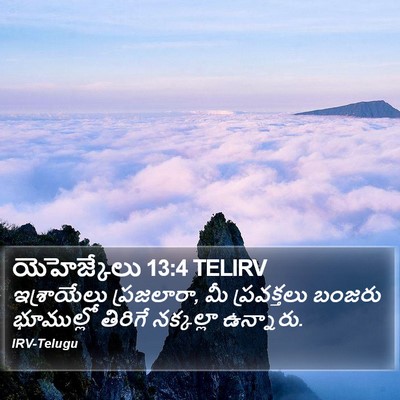 యెహెజ్కేలు 13:4 TELIRV Bible Verse Image