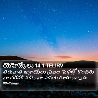 యెహెజ్కేలు 14:1 TELIRV Bible Verse Image