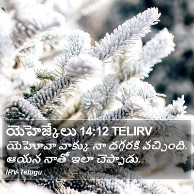యెహెజ్కేలు 14:12 TELIRV Bible Verse Image