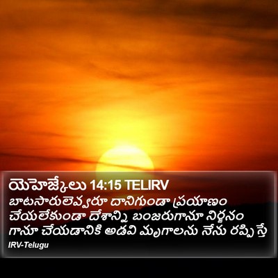 యెహెజ్కేలు 14:15 TELIRV Bible Verse Image