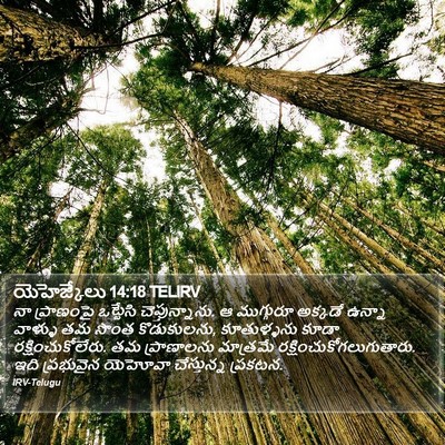 యెహెజ్కేలు 14:18 TELIRV Bible Verse Image