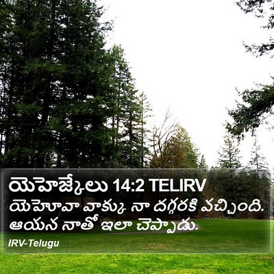 యెహెజ్కేలు 14:2 TELIRV Bible Verse Image