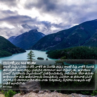 యెహెజ్కేలు 14:4 TELIRV Bible Verse Image