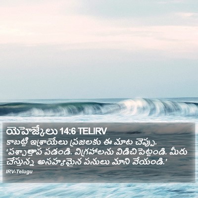 యెహెజ్కేలు 14:6 TELIRV Bible Verse Image