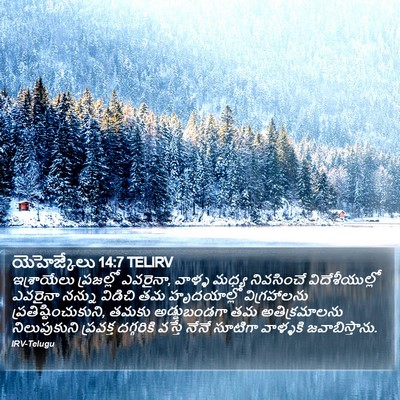 యెహెజ్కేలు 14:7 TELIRV Bible Verse Image