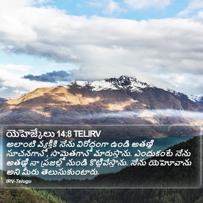 యెహెజ్కేలు 14:8 TELIRV Bible Verse Image