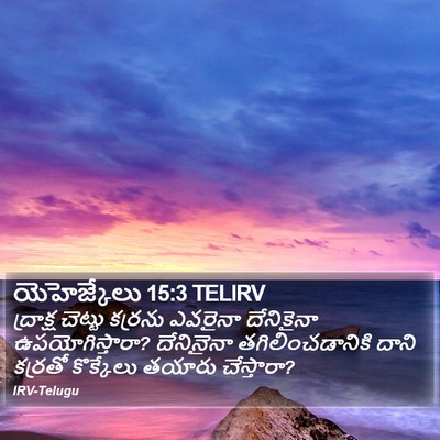 యెహెజ్కేలు 15:3 TELIRV Bible Verse Image