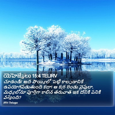 యెహెజ్కేలు 15:4 TELIRV Bible Verse Image