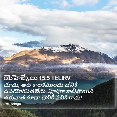 యెహెజ్కేలు 15:5 TELIRV Bible Verse Image