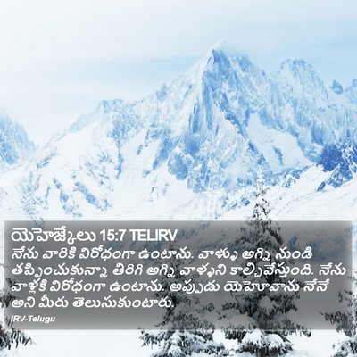యెహెజ్కేలు 15:7 TELIRV Bible Verse Image