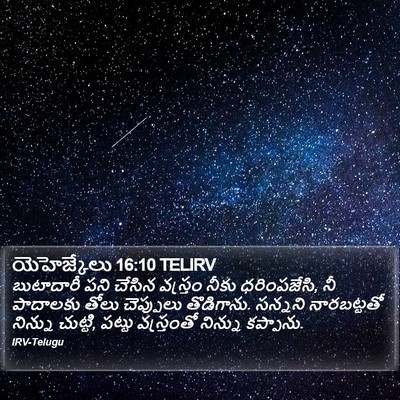 యెహెజ్కేలు 16:10 TELIRV Bible Verse Image