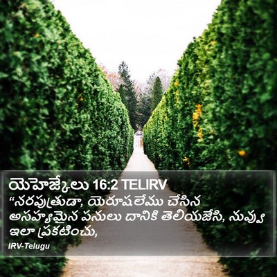 యెహెజ్కేలు 16:2 TELIRV Bible Verse Image