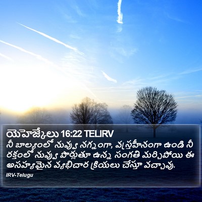 యెహెజ్కేలు 16:22 TELIRV Bible Verse Image