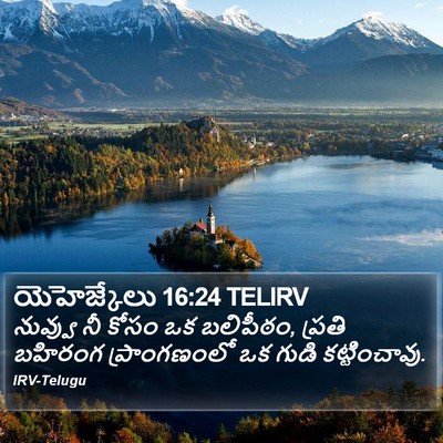 యెహెజ్కేలు 16:24 TELIRV Bible Verse Image