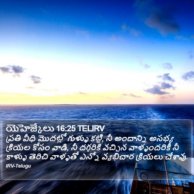 యెహెజ్కేలు 16:25 TELIRV Bible Verse Image