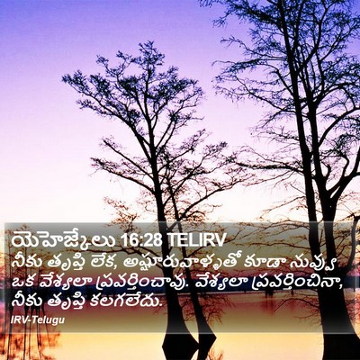 యెహెజ్కేలు 16:28 TELIRV Bible Verse Image