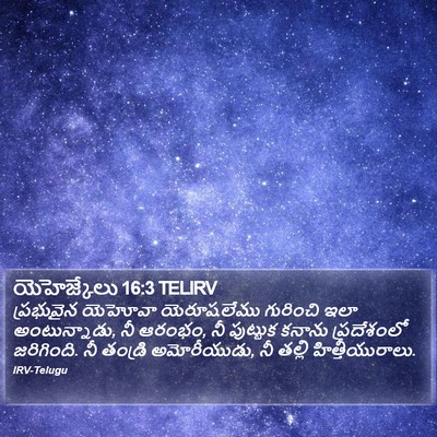 యెహెజ్కేలు 16:3 TELIRV Bible Verse Image