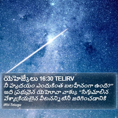 యెహెజ్కేలు 16:30 TELIRV Bible Verse Image