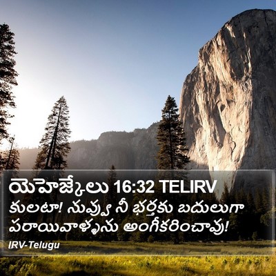 యెహెజ్కేలు 16:32 TELIRV Bible Verse Image