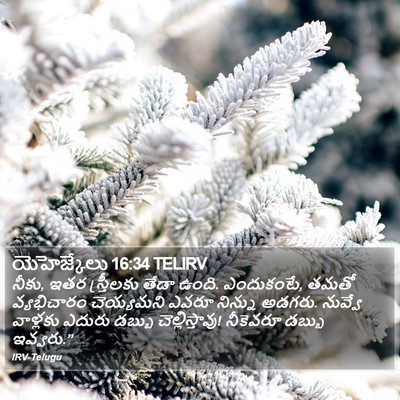 యెహెజ్కేలు 16:34 TELIRV Bible Verse Image
