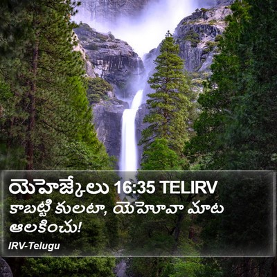 యెహెజ్కేలు 16:35 TELIRV Bible Verse Image