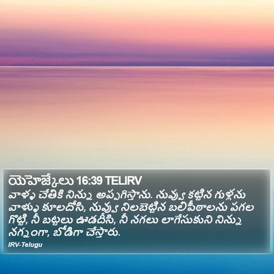 యెహెజ్కేలు 16:39 TELIRV Bible Verse Image