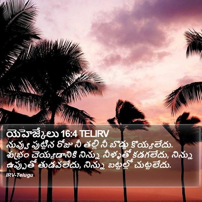 యెహెజ్కేలు 16:4 TELIRV Bible Verse Image