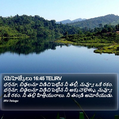 యెహెజ్కేలు 16:45 TELIRV Bible Verse Image