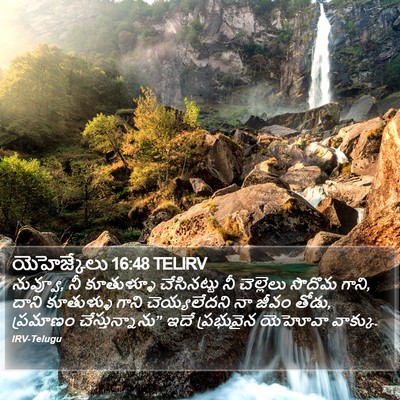 యెహెజ్కేలు 16:48 TELIRV Bible Verse Image