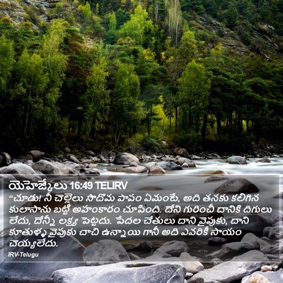 యెహెజ్కేలు 16:49 TELIRV Bible Verse Image