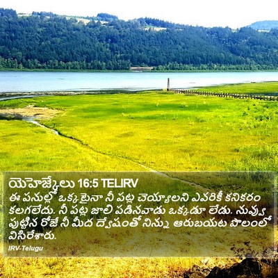 యెహెజ్కేలు 16:5 TELIRV Bible Verse Image