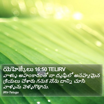 యెహెజ్కేలు 16:50 TELIRV Bible Verse Image
