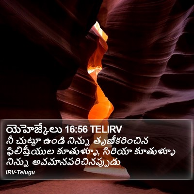 యెహెజ్కేలు 16:56 TELIRV Bible Verse Image