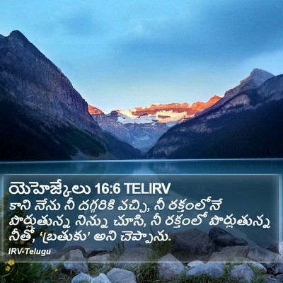 యెహెజ్కేలు 16:6 TELIRV Bible Verse Image