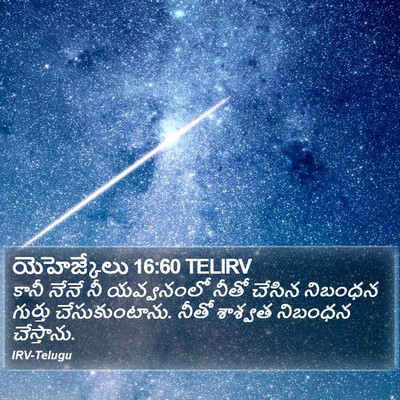 యెహెజ్కేలు 16:60 TELIRV Bible Verse Image
