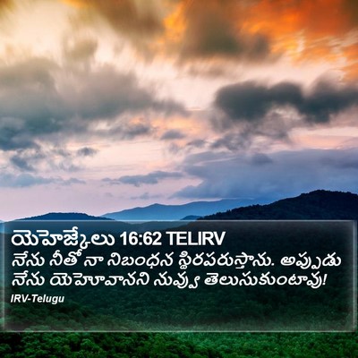 యెహెజ్కేలు 16:62 TELIRV Bible Verse Image