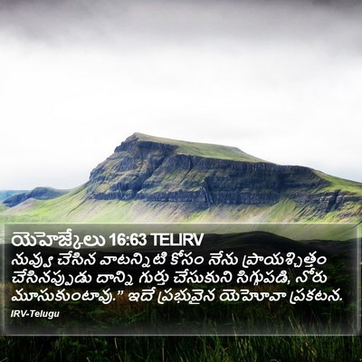 యెహెజ్కేలు 16:63 TELIRV Bible Verse Image