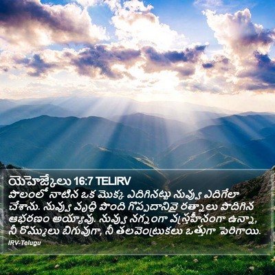 యెహెజ్కేలు 16:7 TELIRV Bible Verse Image