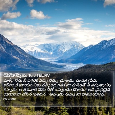 యెహెజ్కేలు 16:8 TELIRV Bible Verse Image