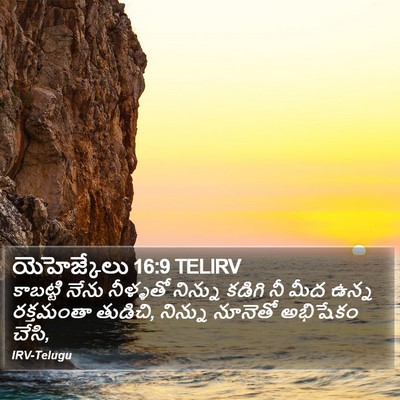 యెహెజ్కేలు 16:9 TELIRV Bible Verse Image