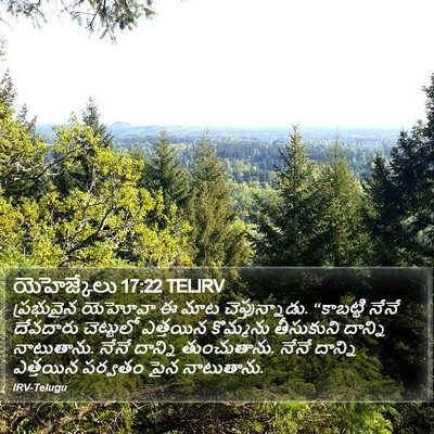 యెహెజ్కేలు 17:22 TELIRV Bible Verse Image